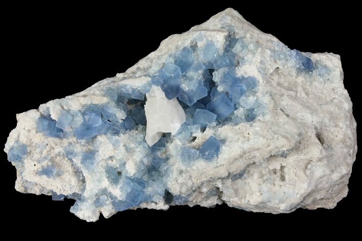 Blue, Cubic Fluorite Crystal Cluster - New Mexico #100991